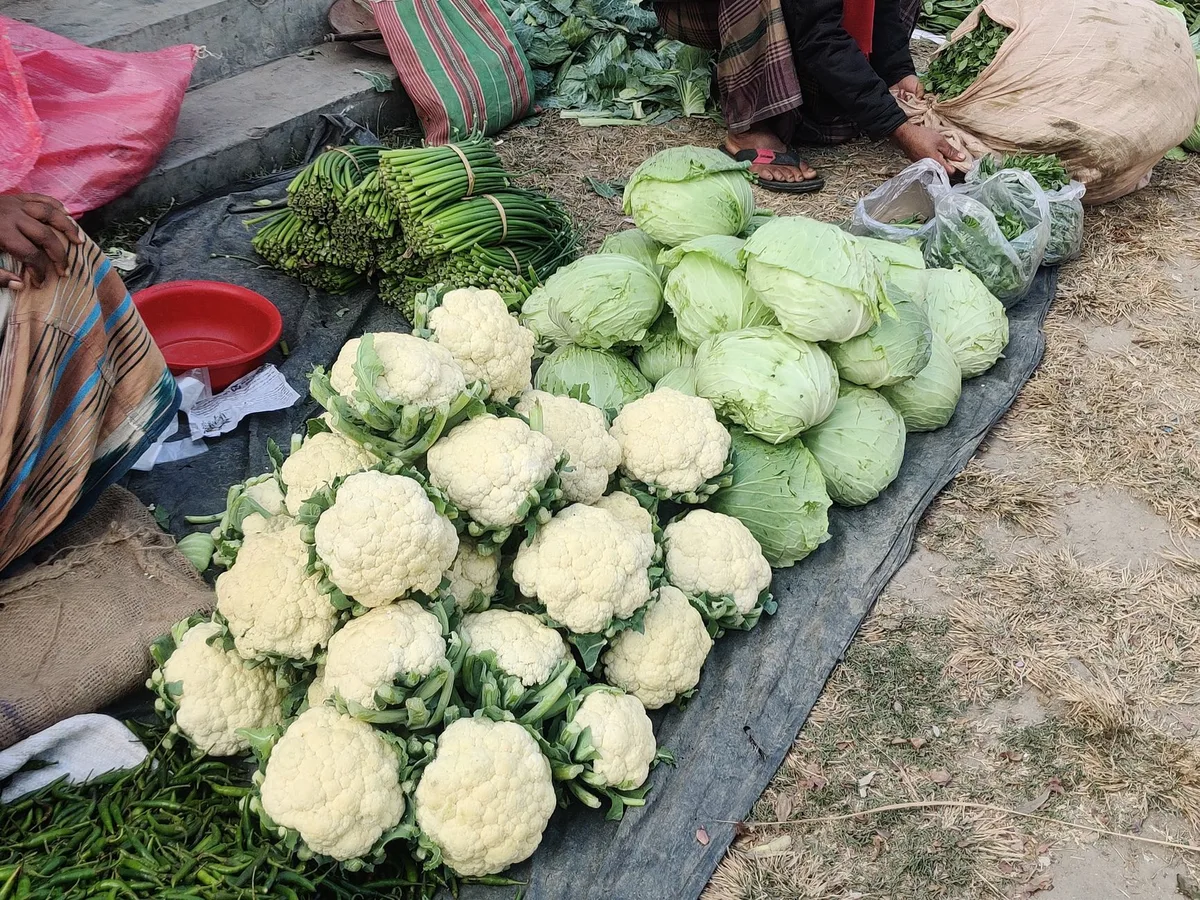 Pilha de verduras e legumes frescos variados